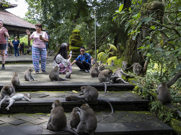 MEJOR TOUR CULTURAL EN BALI DE 7 DÍAS